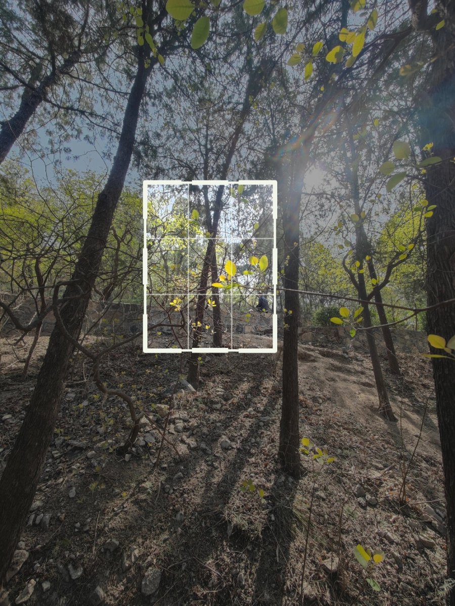 Nicolas Espeche  tweet media