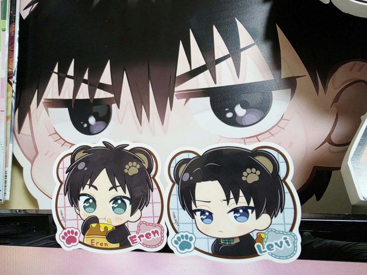 헤이🏀🦔 tweet media