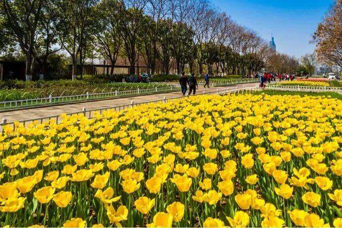 Brenden Antovski tweet media