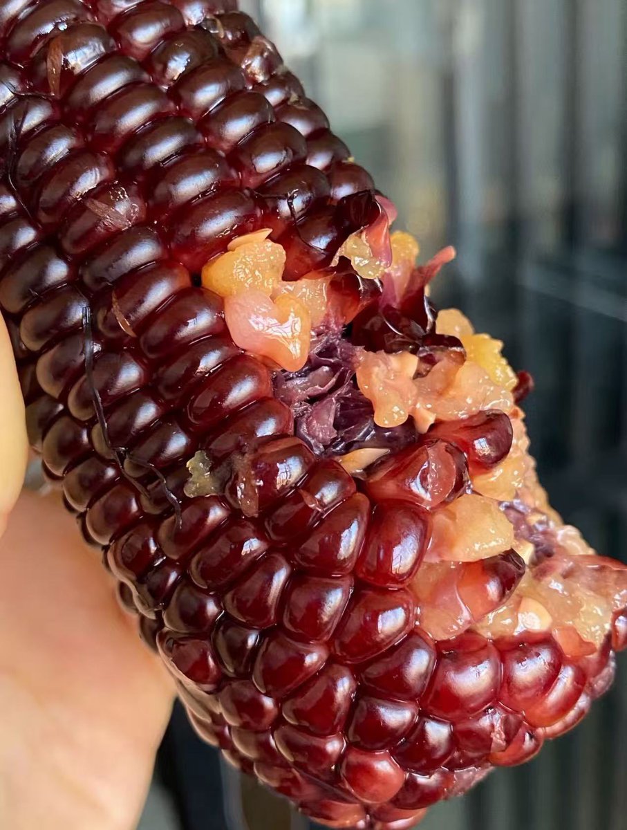 马泮艳 tweet media