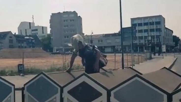 the velocity  tweet media