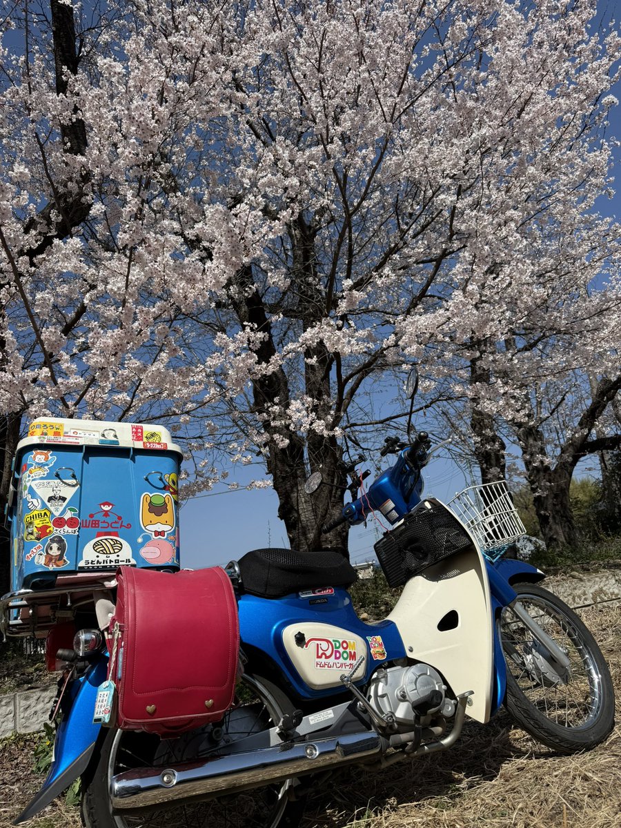 今日ほどほどにツーリングする予定だったけど、帰りの酷すぎる渋滞で気力失って明日もうゆっくり家で過ごすことにする…😭