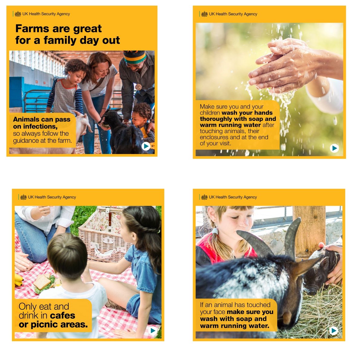 Stockton-on-Tees Community Wellbeing Champions tweet media