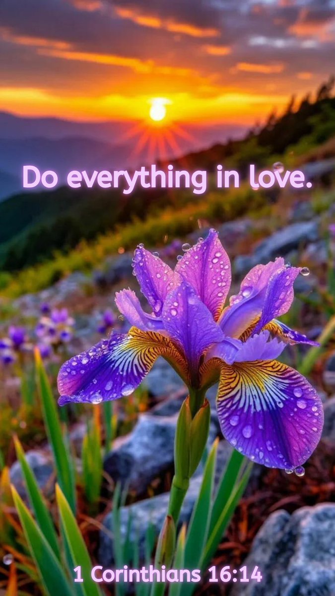 MJ Harris tweet media