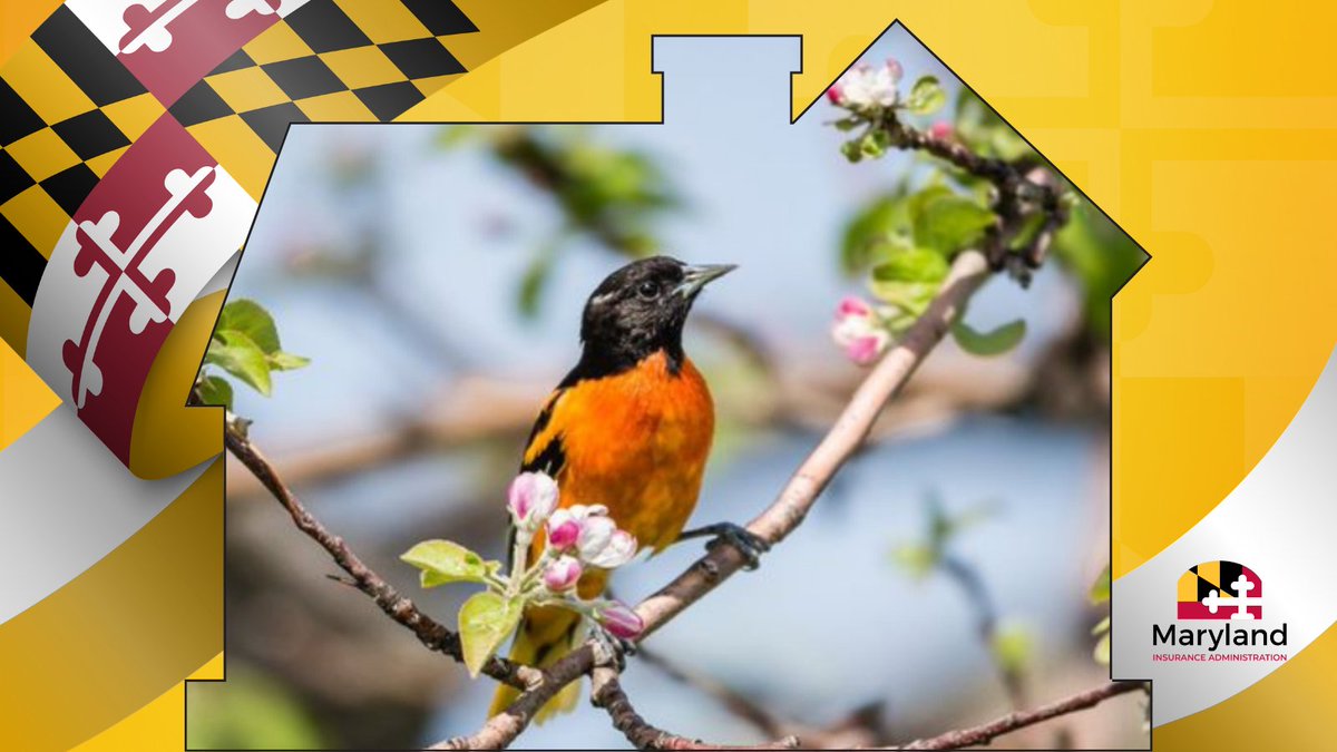 Maryland Insurance tweet media