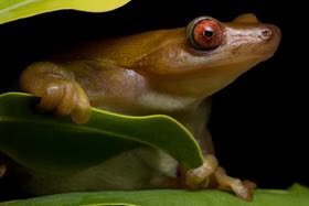 Carmine Fields tweet media