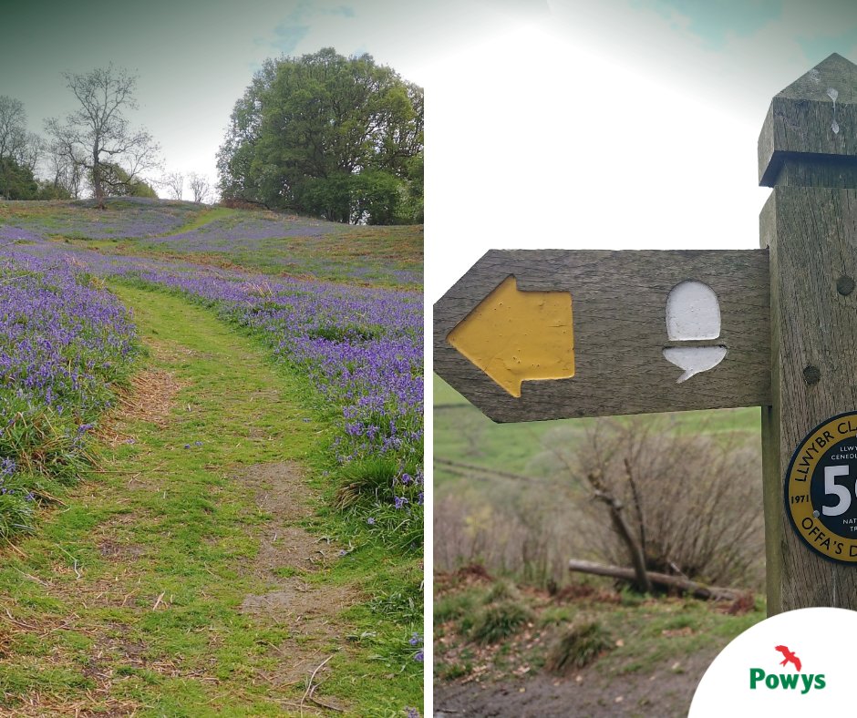 Powys County Council tweet media