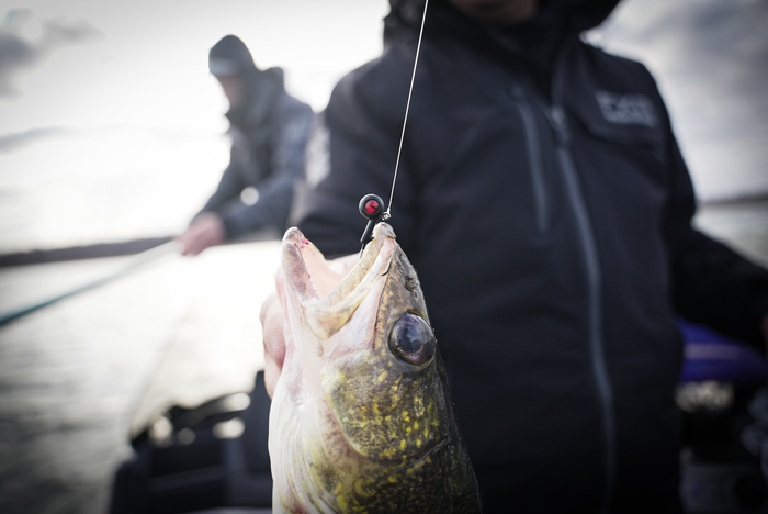 Outdoor Channel tweet media