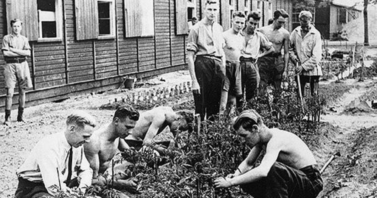 RAF Benevolent Fund tweet media