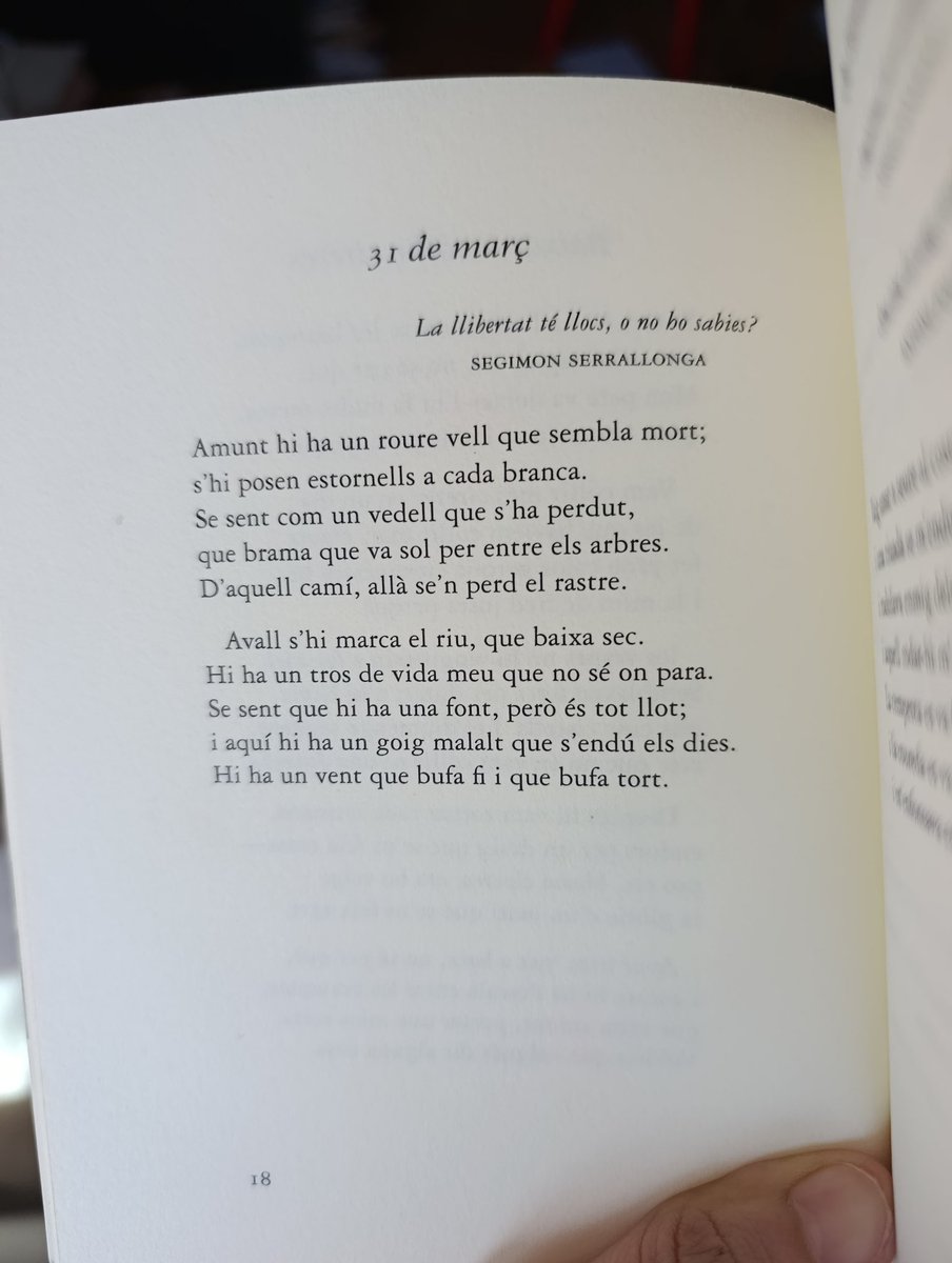 Anna Punsoda Ricart tweet media