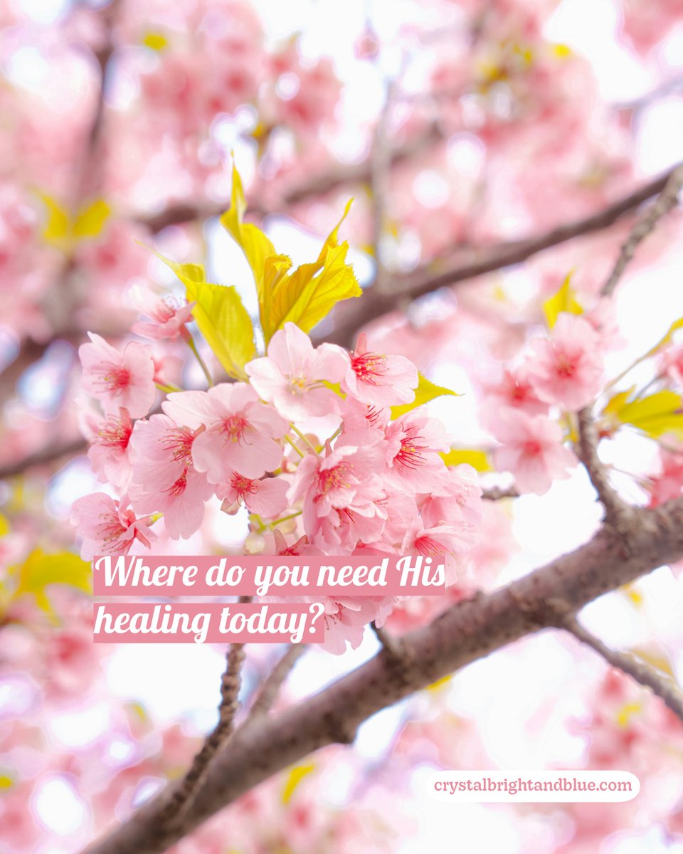 cbbforhome's tweet photo. By His wounds we are healed—His sacrifice brings wholeness and new life.
#EasterReflection https://t.co/uVDvM13Zk1