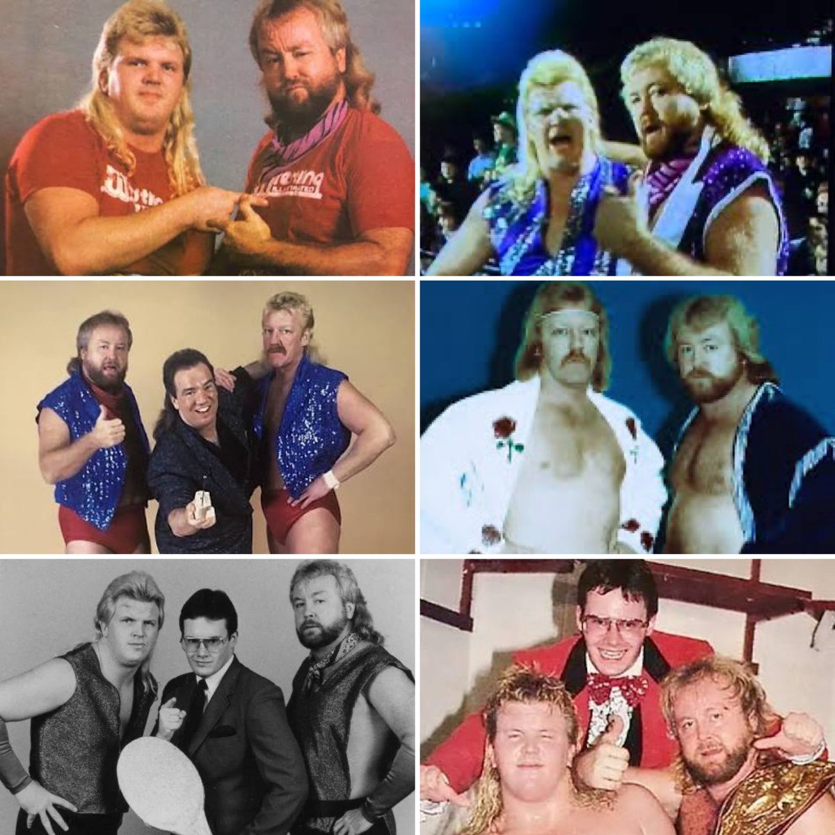 Ultimate Wrestling Trivia tweet media