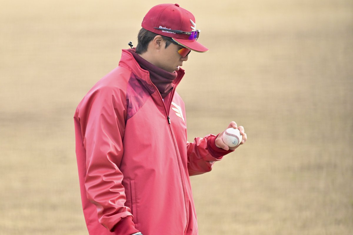 さかな tweet media