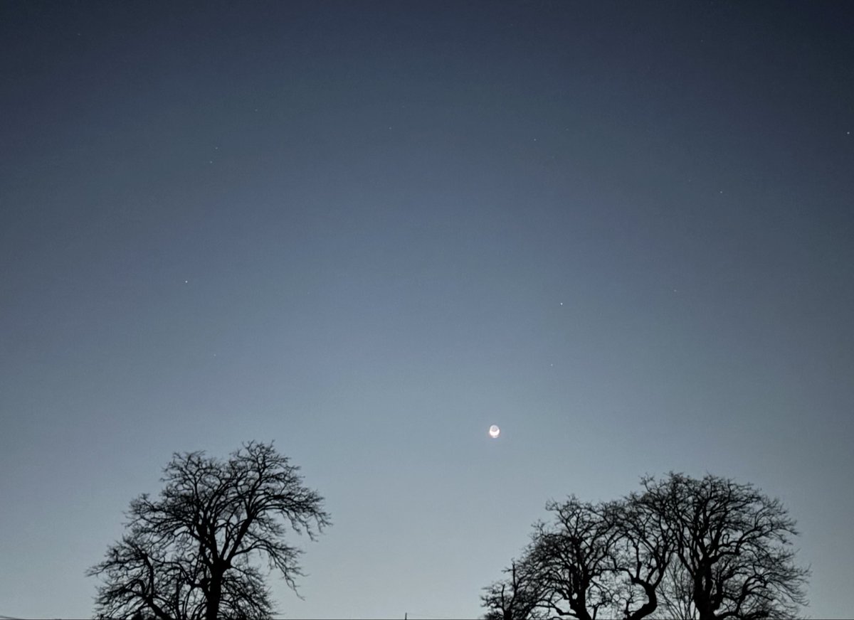 みいしゃ tweet media