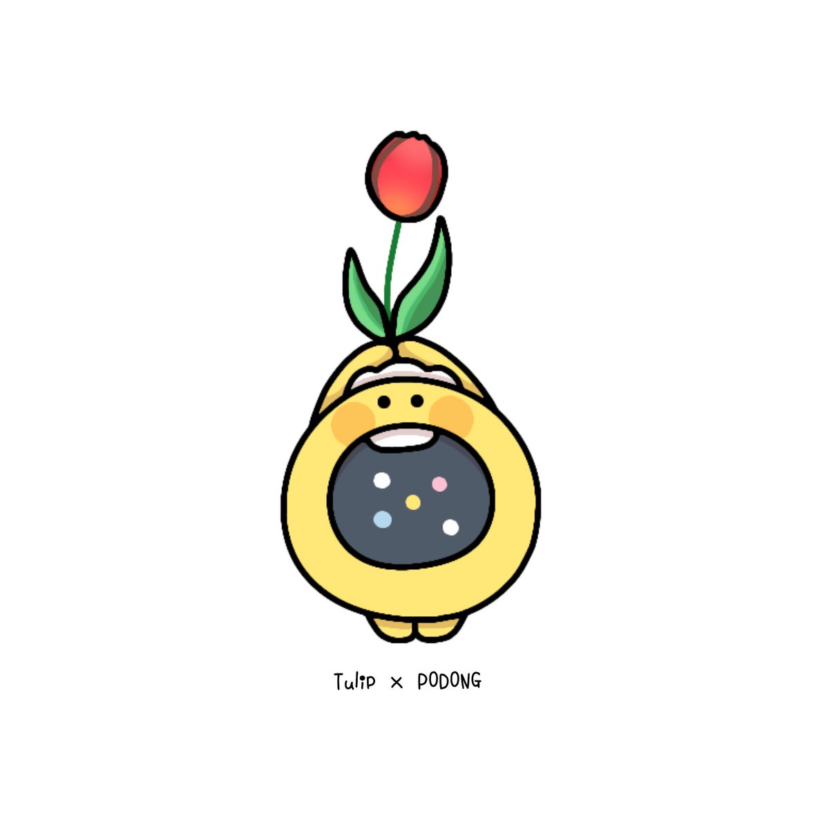 ⚪ふう⚪ tweet media