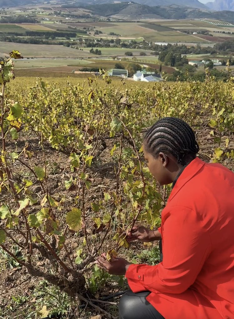 Siwela ™ Masoga tweet media