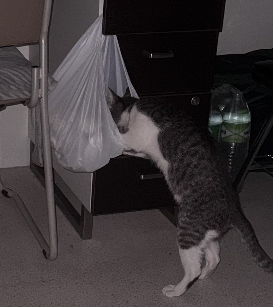 𝙥𝙞𝙣𝙭𝙯 | F89-90 #CQ9(Sat) tweet media