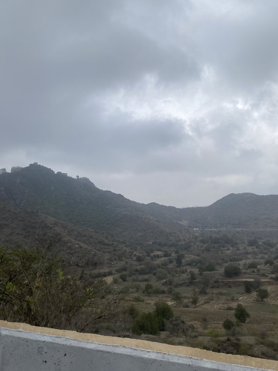 Rand🦒 tweet media