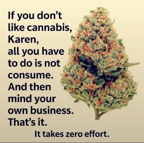 💨🍃 tweet media