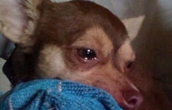 What have I done to deserve this