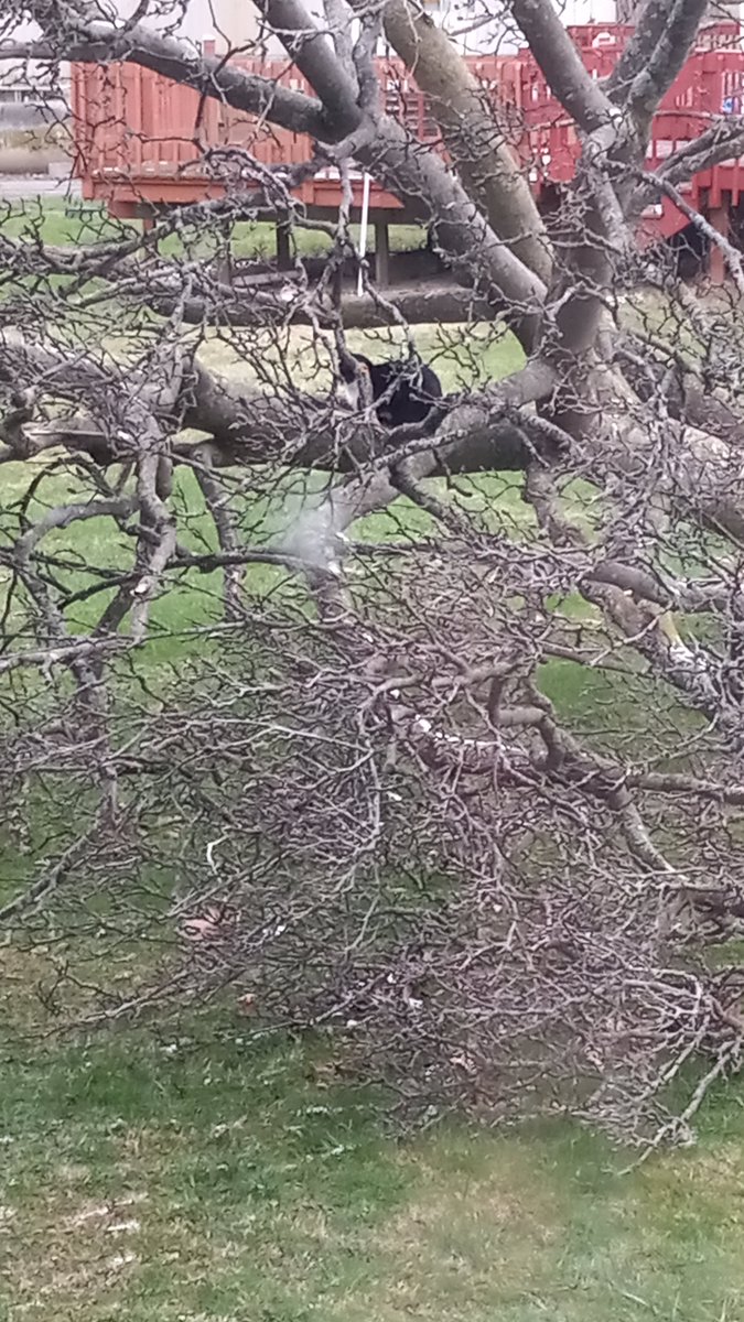 Amy Has Ant-teefer Vibes🇺🇦 tweet media