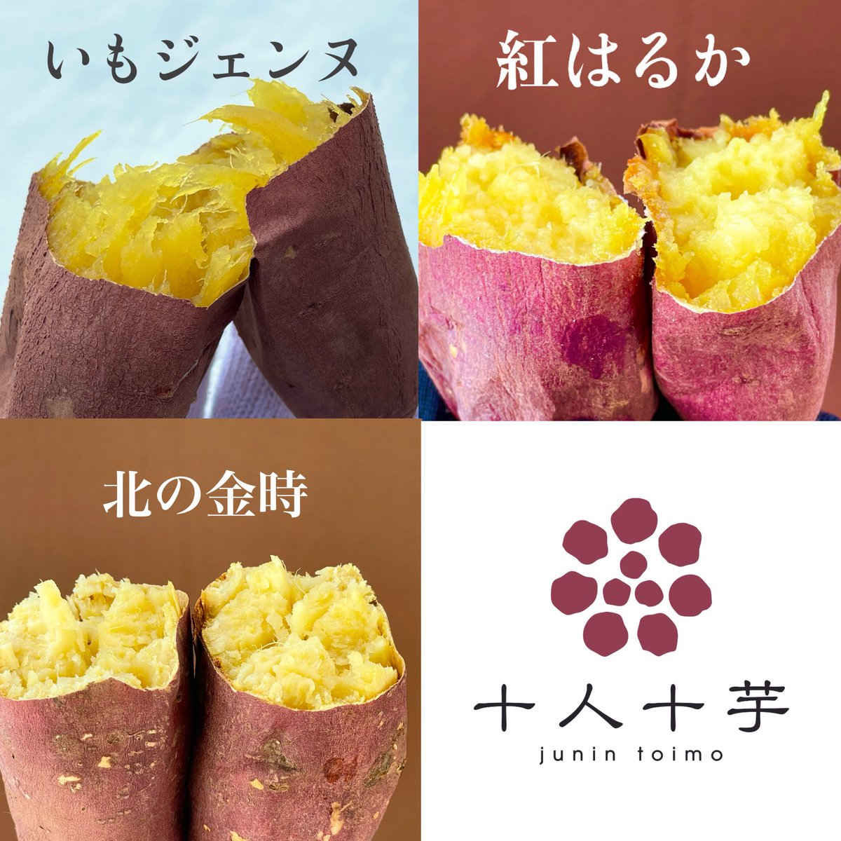 OIMOYA - 十人十芋 tweet media