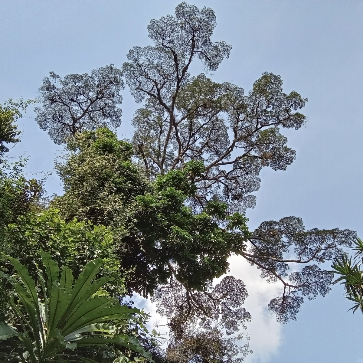 Elie SINAYITUTSE tweet media