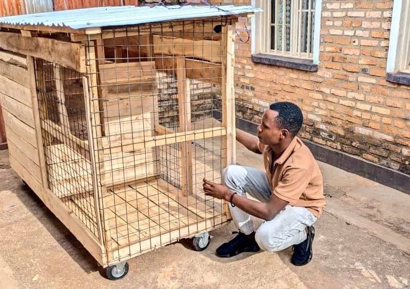 DieudoneHA's tweet image. ARE YOU PASSIONATE ABOUT #LIVESTOCK AND #COMPANION FARMING?

If you’ve been thinking about starting or improving your #rabbit, #chicken, or #dog farming, here’s some exciting news;

I’ve designed a modern, efficient, and affordable housing system that meets all the key