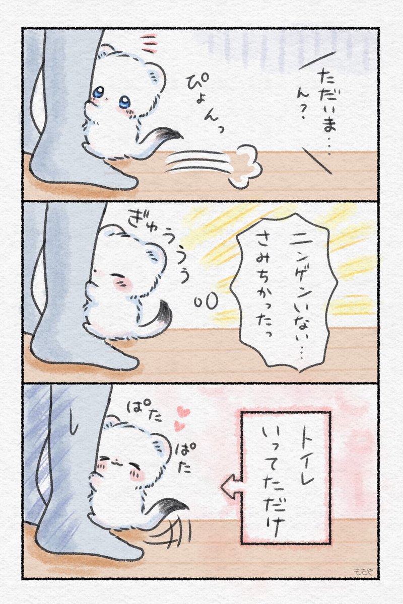 ももや|おこさまおこじょ tweet media