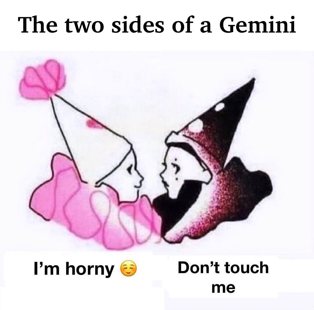 Geminihumour's tweet photo. just gemini things: https://t.co/TzC6XSn75w