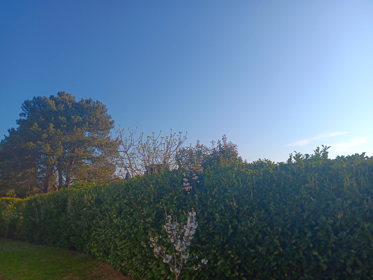 Ben pic st loup tweet media