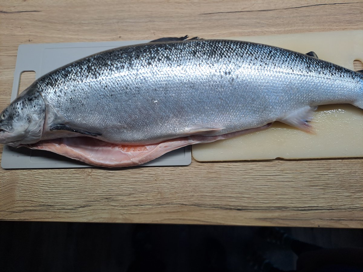 Martinko Klingáč 🇸🇰🇨🇿🇺🇦 tweet media