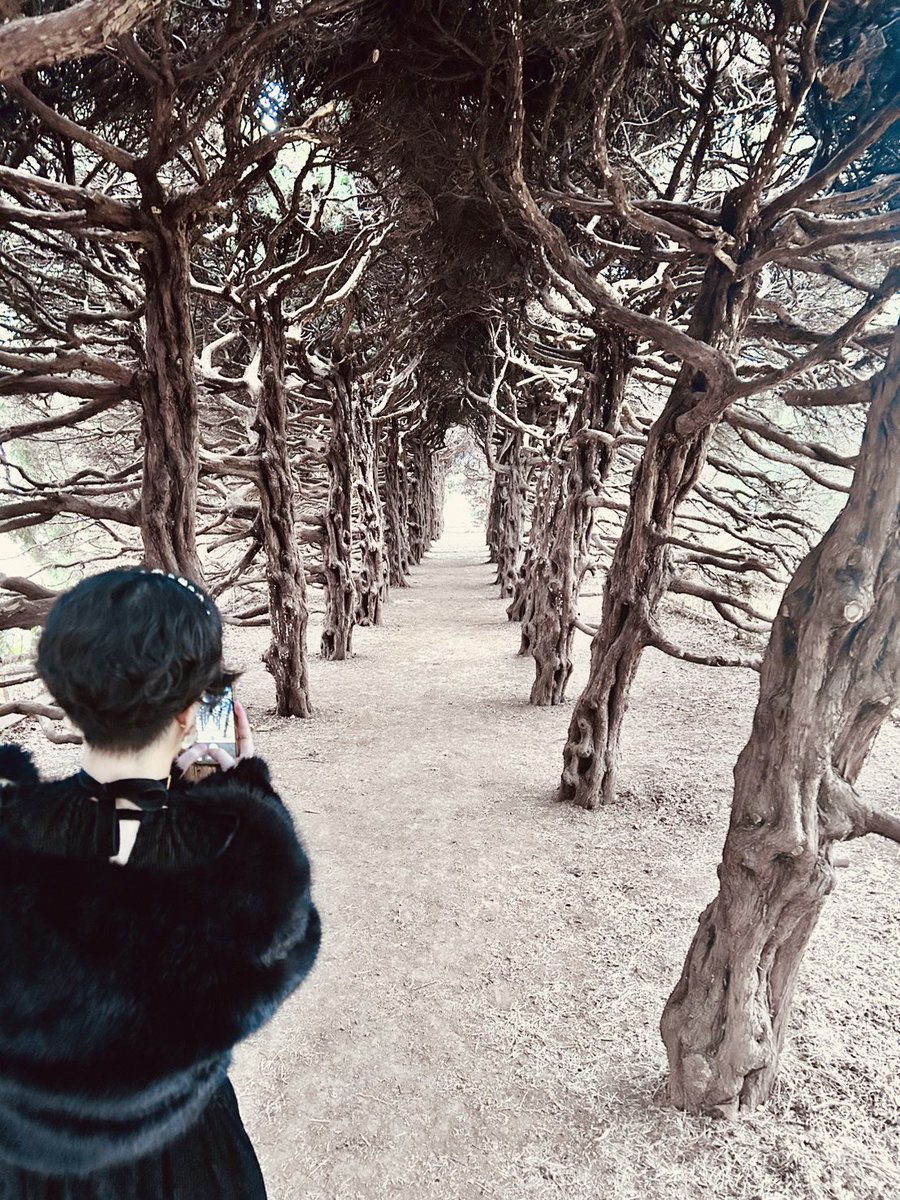 huki 5月~依頼募集中 tweet media