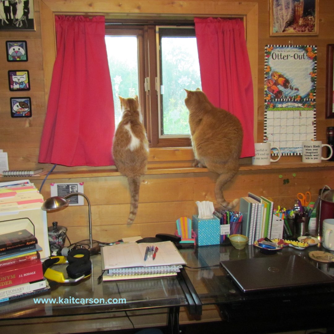 Kait Carson tweet media