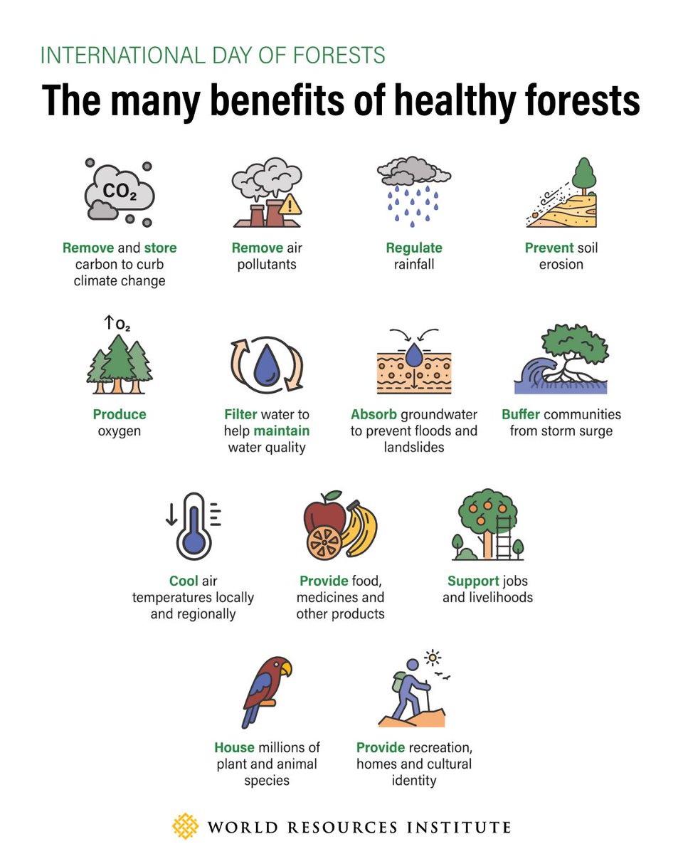 World Resources Institute tweet media