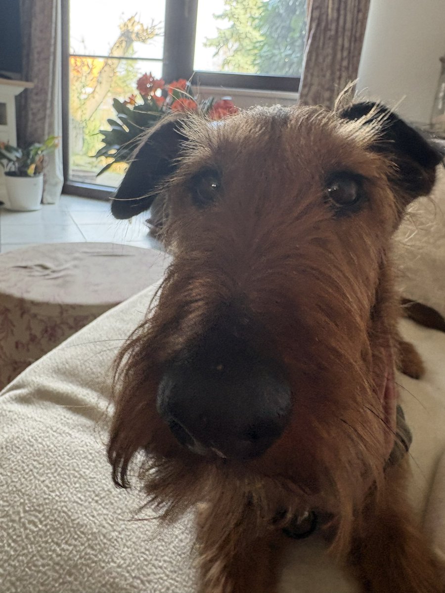 Andy 🇺🇦 tweet media