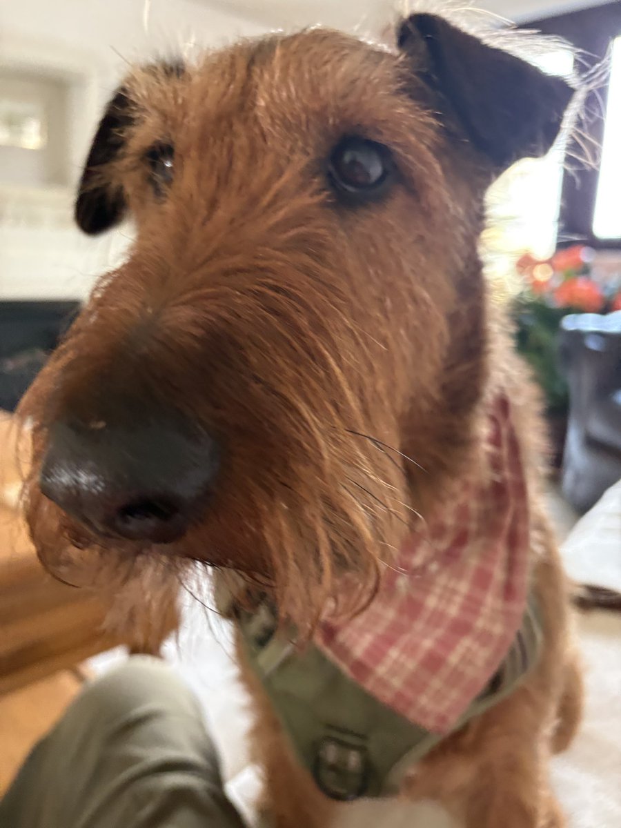 Andy 🇺🇦 tweet media