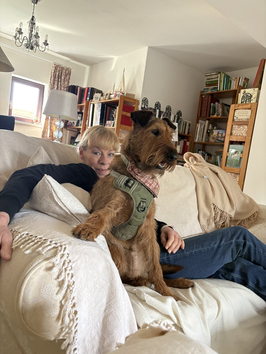 Andy 🇺🇦 tweet media