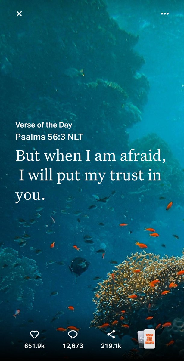 SquidDaBeast tweet media