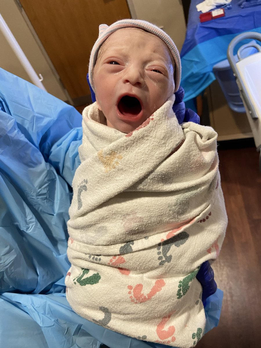 Andrew Salciunas tweet media