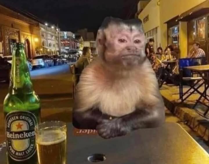 George T. Diano tweet media