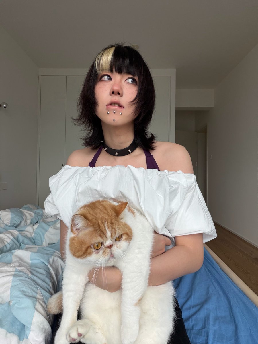 蛙吹肥雨 tweet media