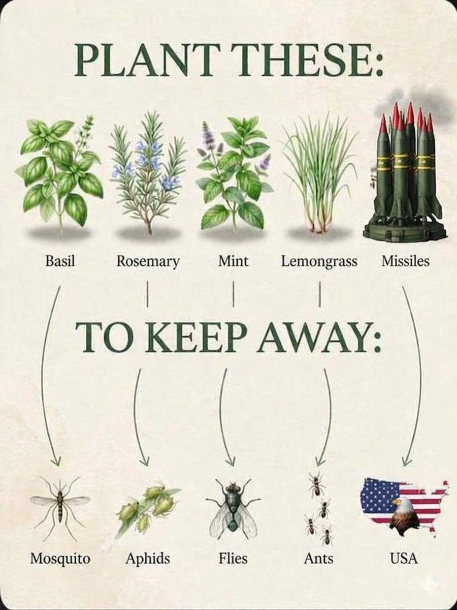 Iran Embassy SA tweet media