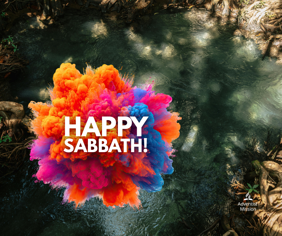 Mission360tv tweet media