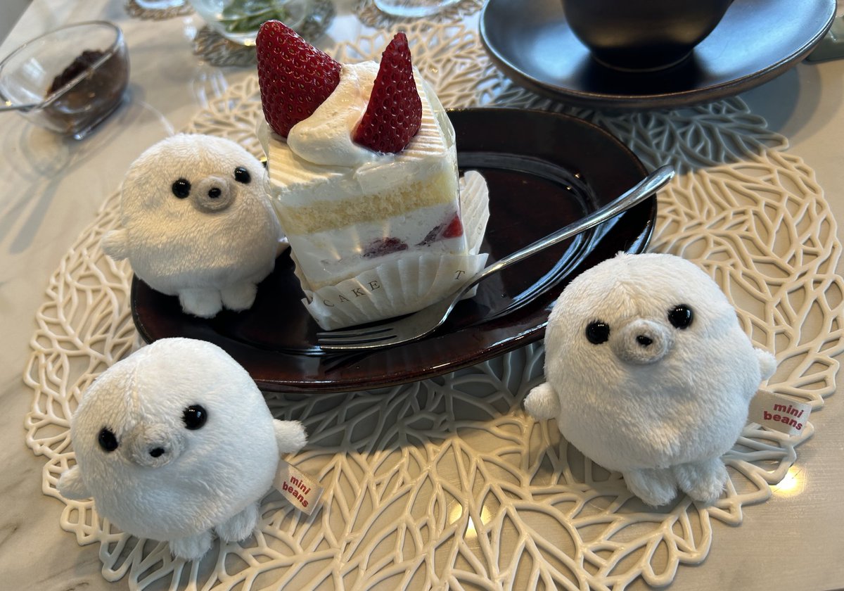 まめ子 tweet media