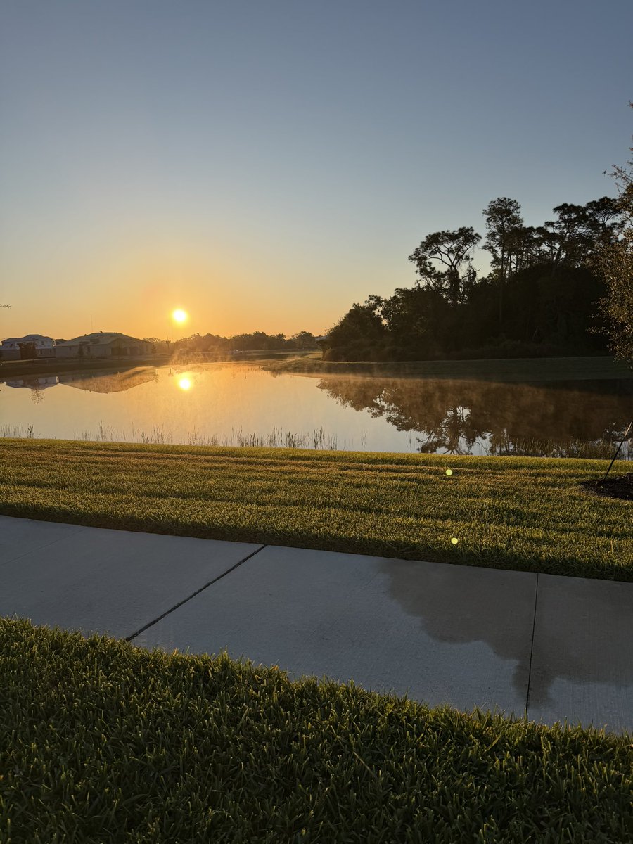 Steve Dawson tweet media