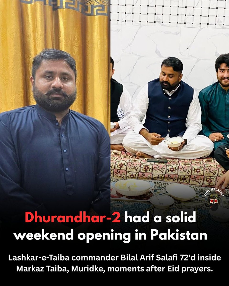 Elite Predators tweet media