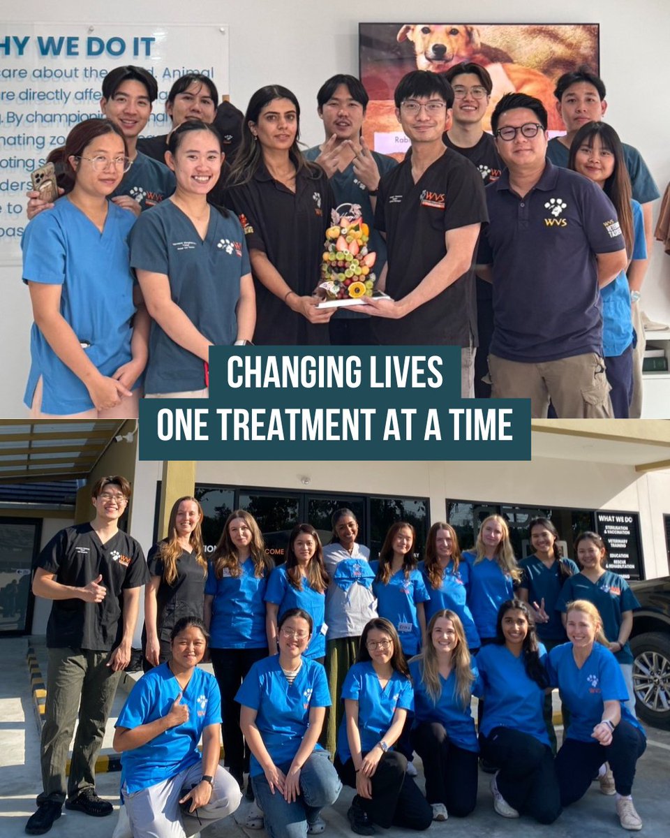 Luke Gamble tweet media