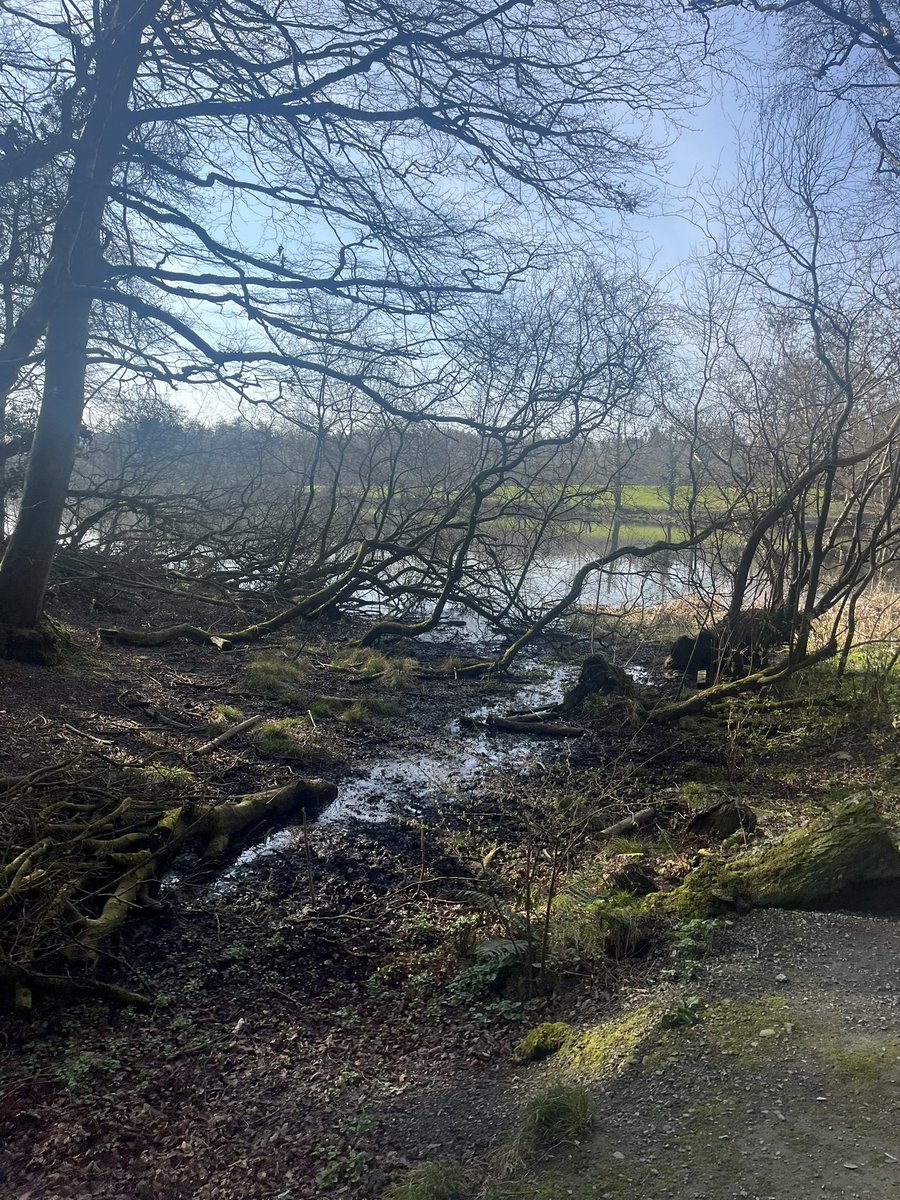 Colin Reid tweet media