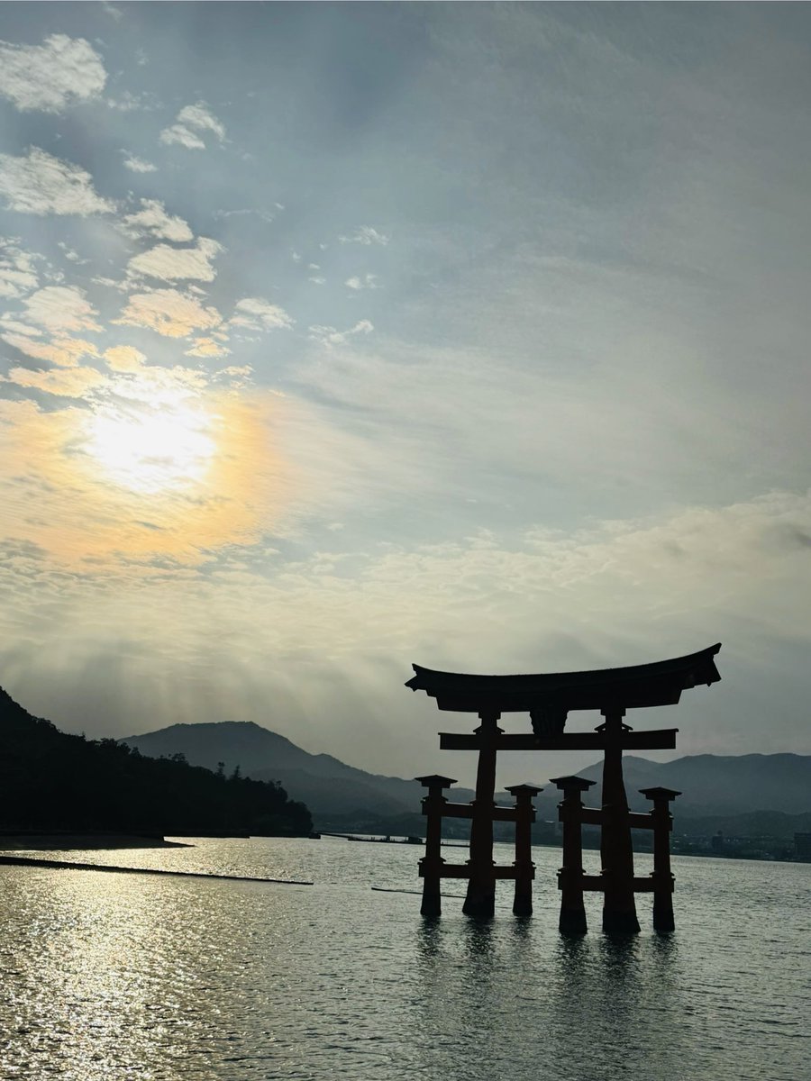 落下太郎🫘低浮上 tweet media